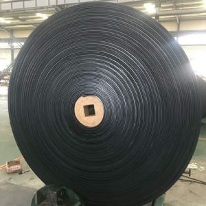 尼龍分層輸送帶