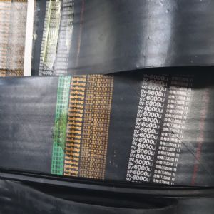 5V6000 10聯 發貨